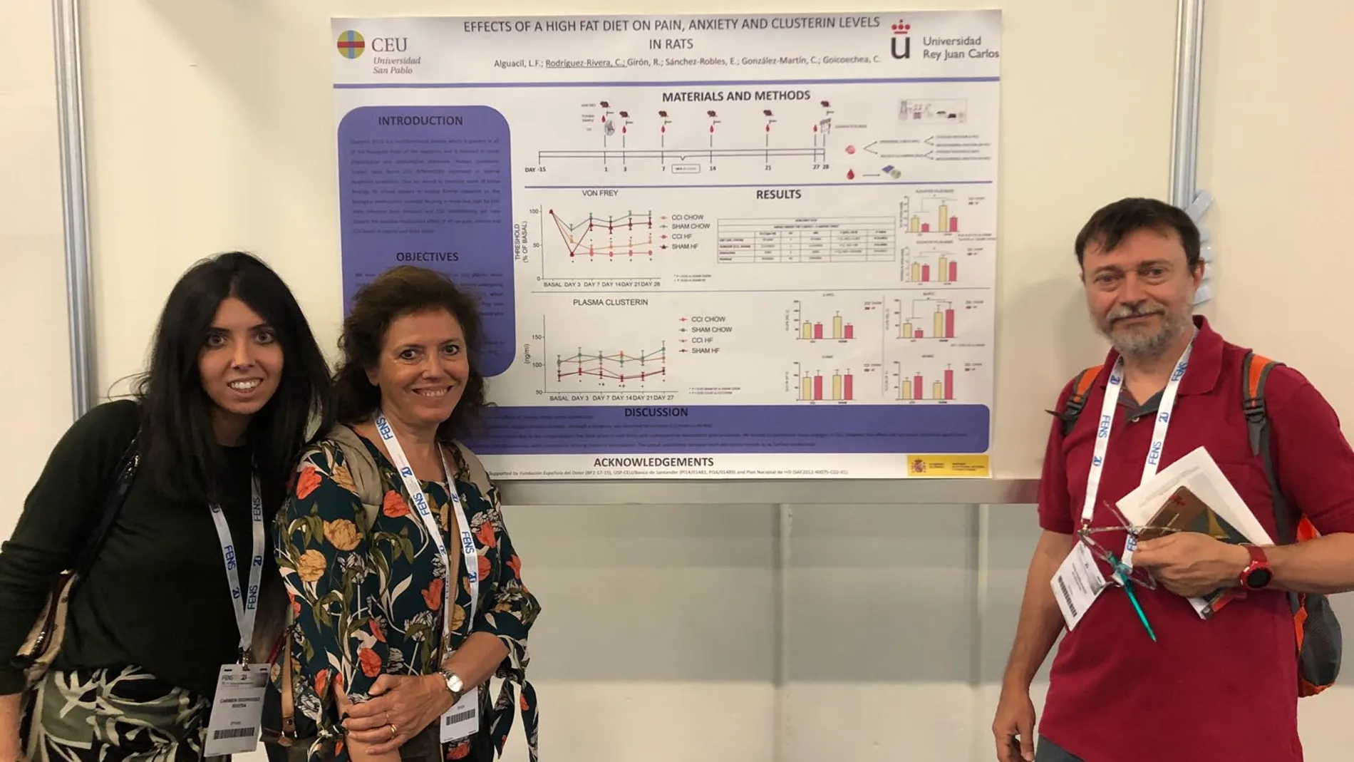 Un estudio conjunto entre la Universidad CEU San Pablo y la Universidad Rey Juan Carlos publicado en la revista Neuroscience describe efectos negativos de una dieta rica en grasa sobre la ansiedad y el dolor.