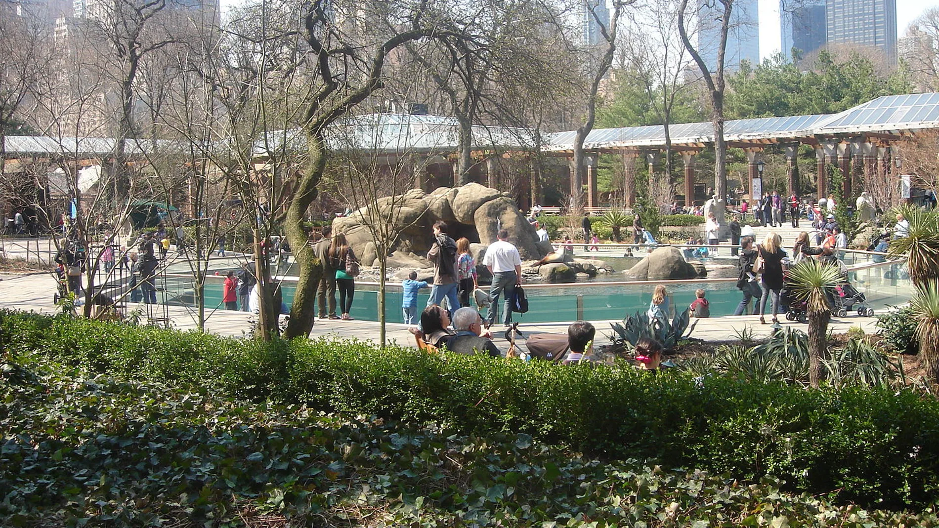 Una imagen actual del zoo de Central Park