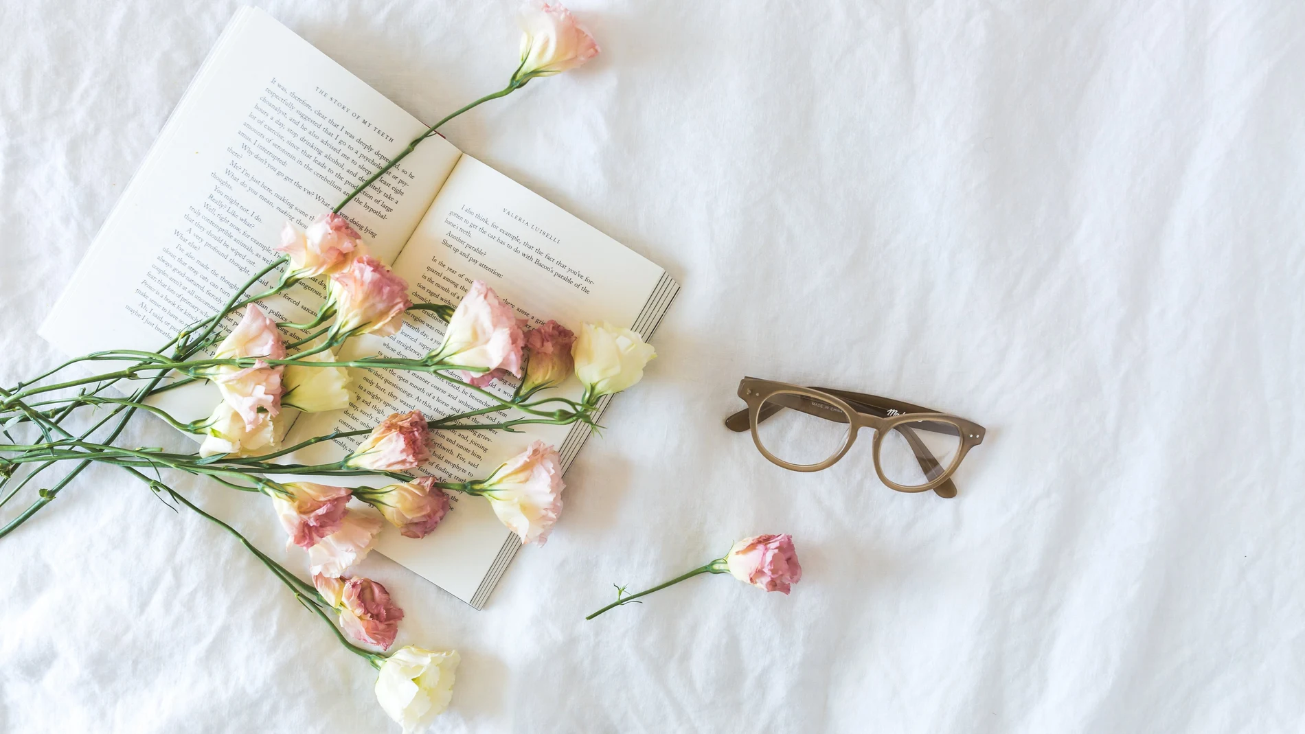 En la imagen, un libro y unas rosas.