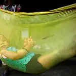 Un niño observa a través de una cuna realizada con una fina tela