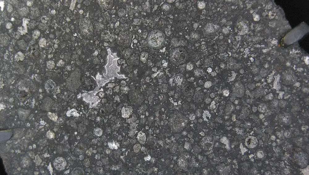 Una sección del meteorito Allende, una condrita carbonácea que se formó hace unos 4 500 millones de años.