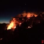 Los Bombers de la Generalitat trabajan un incendio forestal "con mucho potencial" en Vinebre (Tarragona). BOMBERS