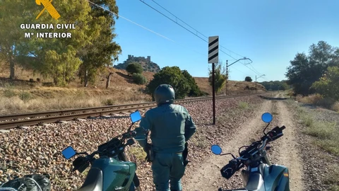 Agentes del Seprona