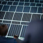 Inauguración de la planta Andévalo de Iberdrola, primer proyecto fotovoltaico de la compañía en Andalucía