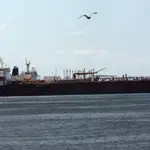 El buque cisterna iraní Forest atracado en el puerto de El Palito en Venezuela