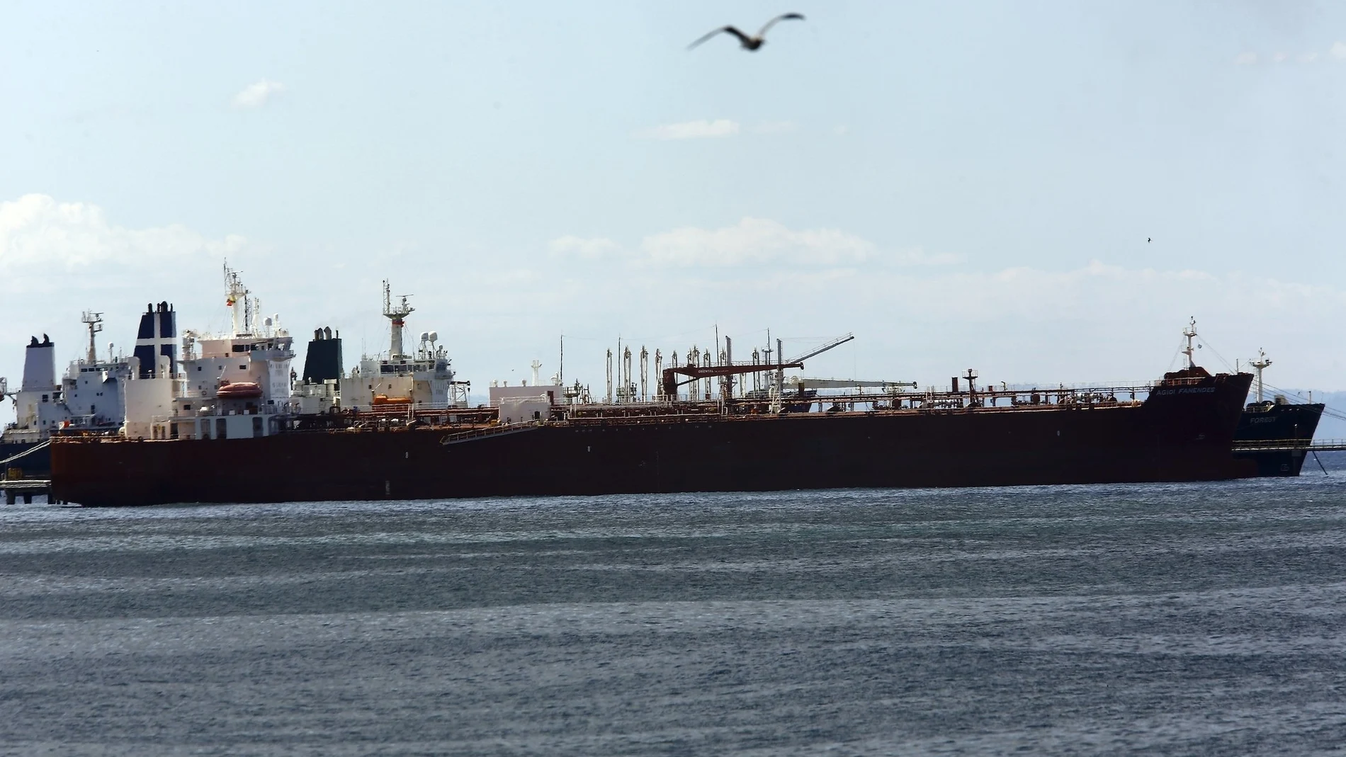 El buque cisterna iraní Forest atracado en el puerto de El Palito en Venezuela