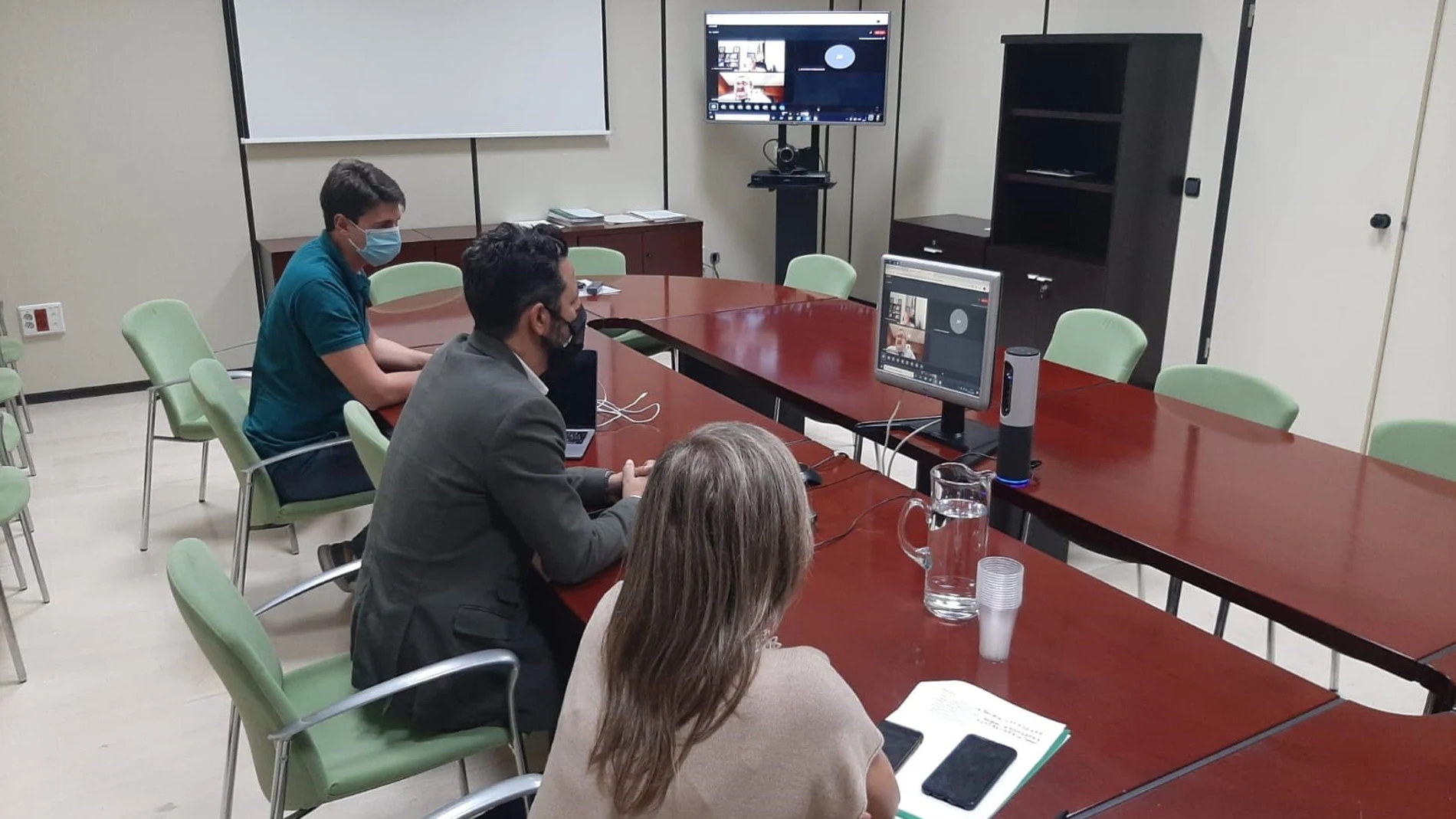 Encuentro del Comité de Expertos de vacunación antigripal del Grupo Andaluz de Vacunación Antigripal (Gavag)