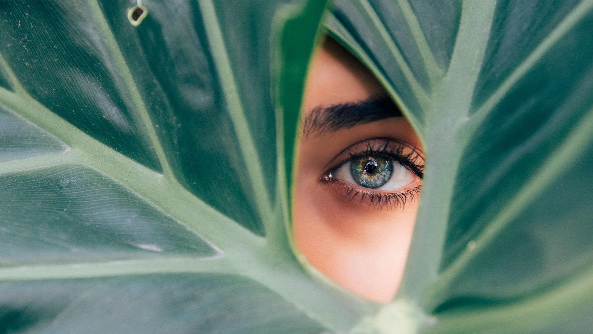 Cómo combatir los ojos cansados, las ojeras y la hinchazón