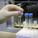 Vista de tubos de ensayo de la Unidad de Biología Celular del Institut Pasteur