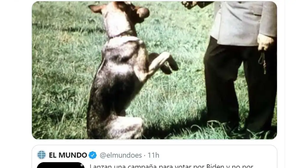Hitler y su perro