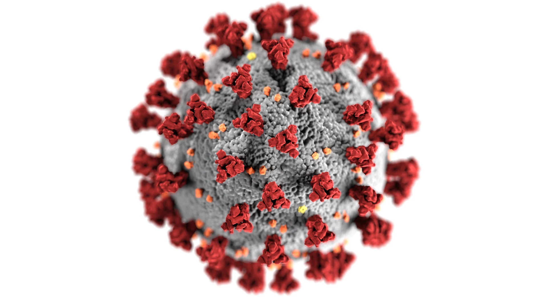 Los anticuerpos monoclonales son un tratamiento prometedor contra la Covid-19.