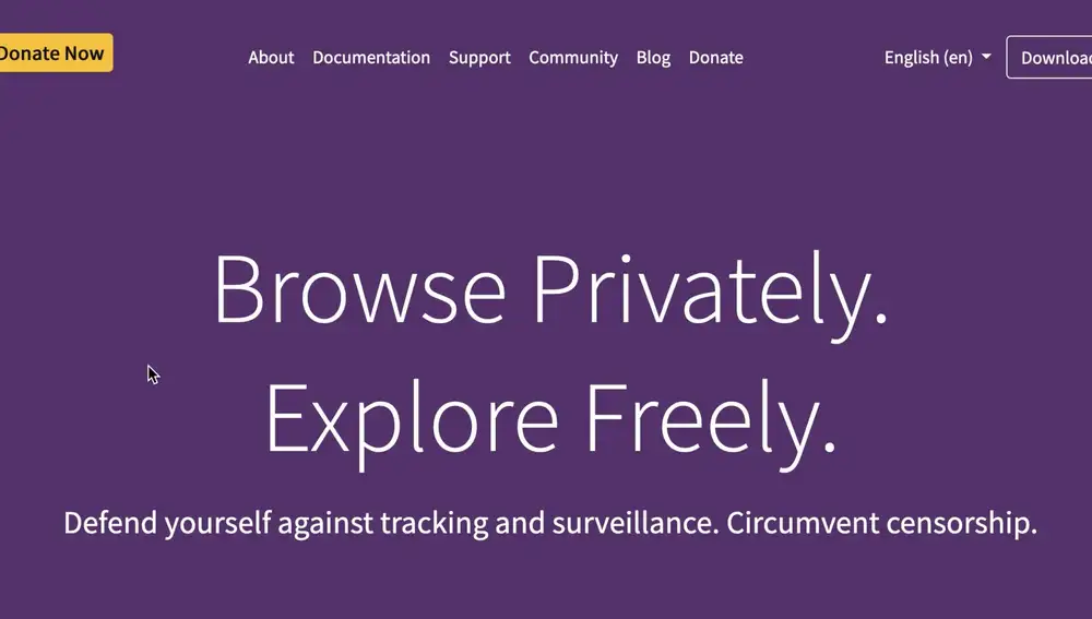 Tor es uno de los navegadores que permite entrar en la 'deep web'