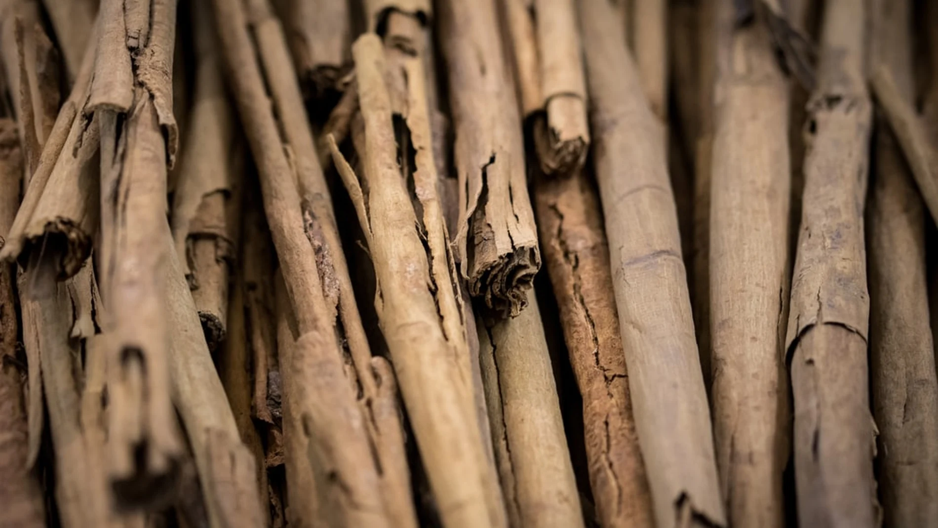 Las especias y los ingredientes utilizados para elaborar los tradicionales platos hindúes contienen muchos beneficios para la salud. Entre ellos la canela de Ceilán | Fuente: Unsplash
