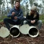 Chris Hemsworth y Elsa Pataky sueltan dos demonios de Tasmania en Australia