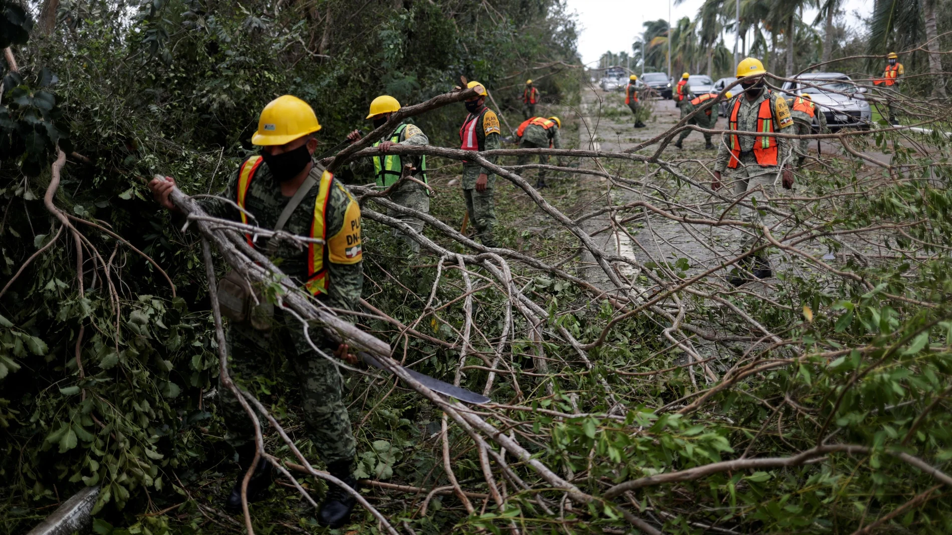 Operarios retiran de una carretera de Cancún los árboles derribados por el huracán "Delta"