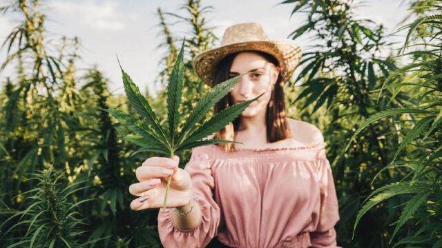 Cannabis medicinal: 7 preguntas clave para comprenderlo mejor