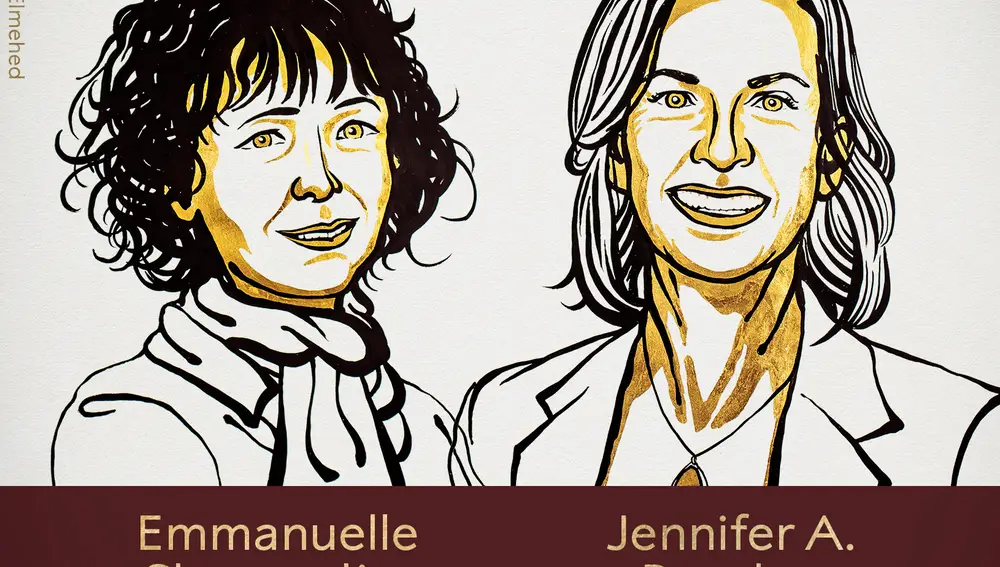 Las dos ganadoras del Premio Nobel de Química de 2020, por su desarrollo de un método de modificación genética