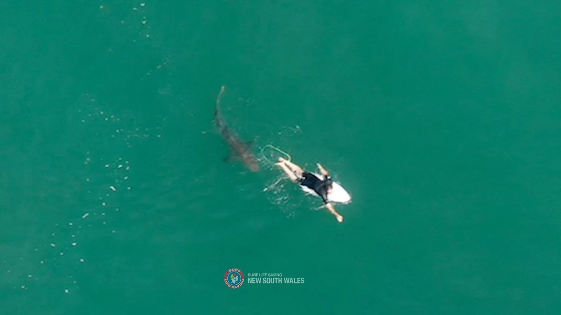 Un tiburón cerca del campeón mundial Matt Wilkinson en Australia