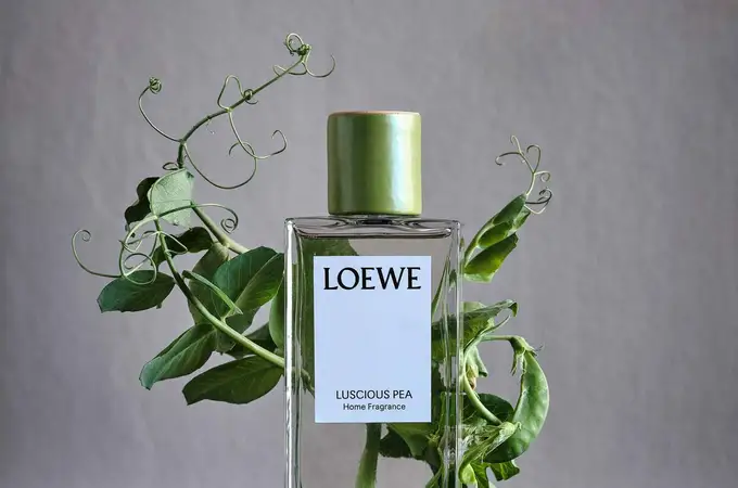 Loewe sabe cómo conquistar: lanzando su primera colección de fragancias para el hogar