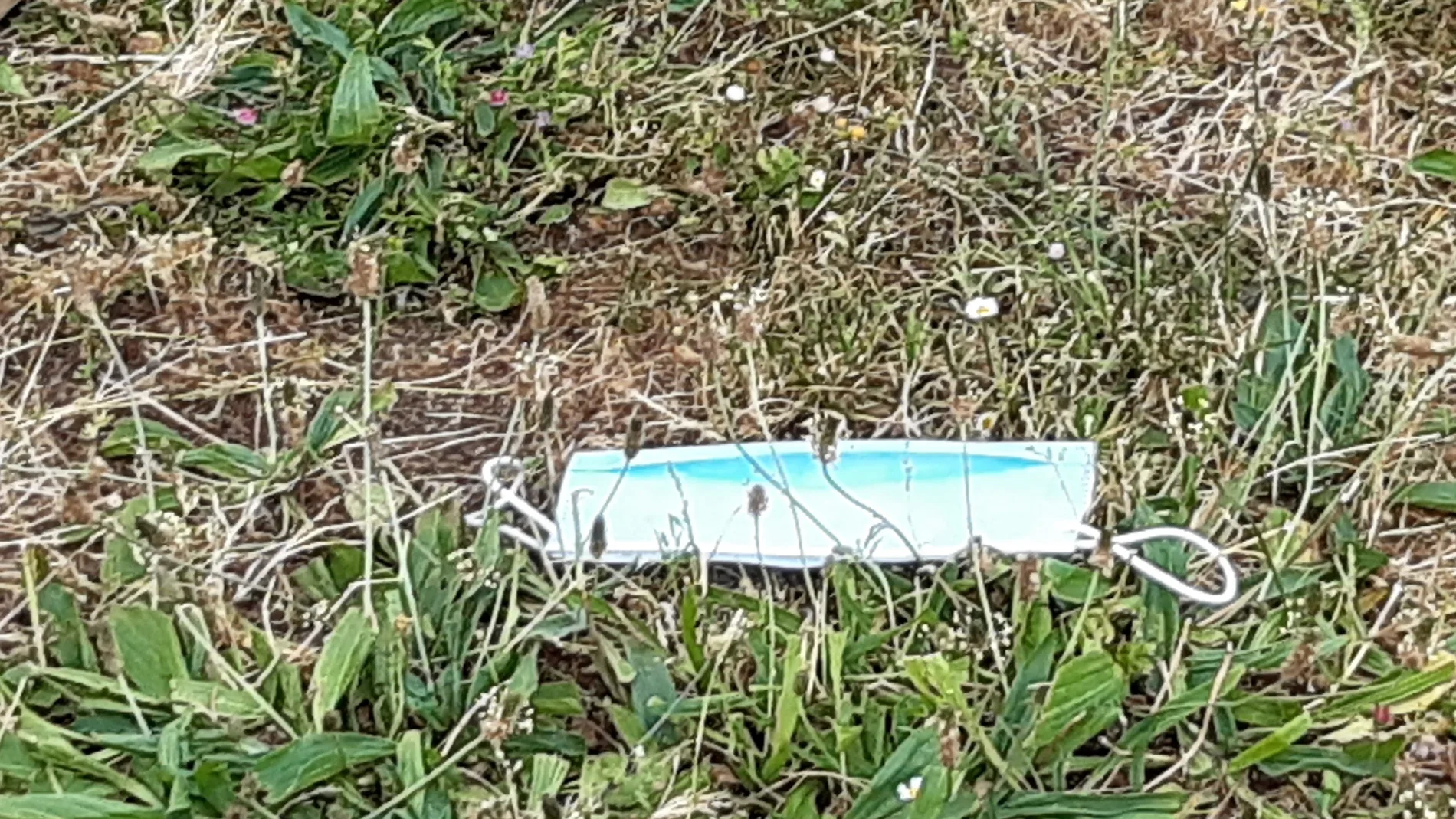 Mascarilla tirada en un jardín