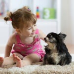 Los perros movilizan recursos afectivos y comunicativos en niños y jóvenes