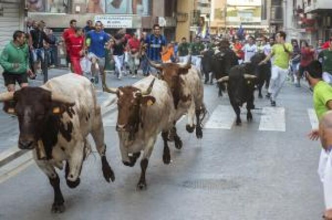 Imagen de los "bous al carrer" en Lliria