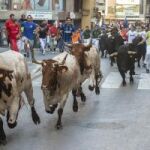 Imagen de los "bous al carrer" en Lliria