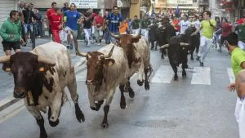 Imagen de los "bous al carrer" en Lliria