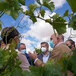 El consejero de Agricultura, Ganadería y Desarrollo Rural, Jesús Julio Carnero, durante una visita a los viñedos de la DO Rueda