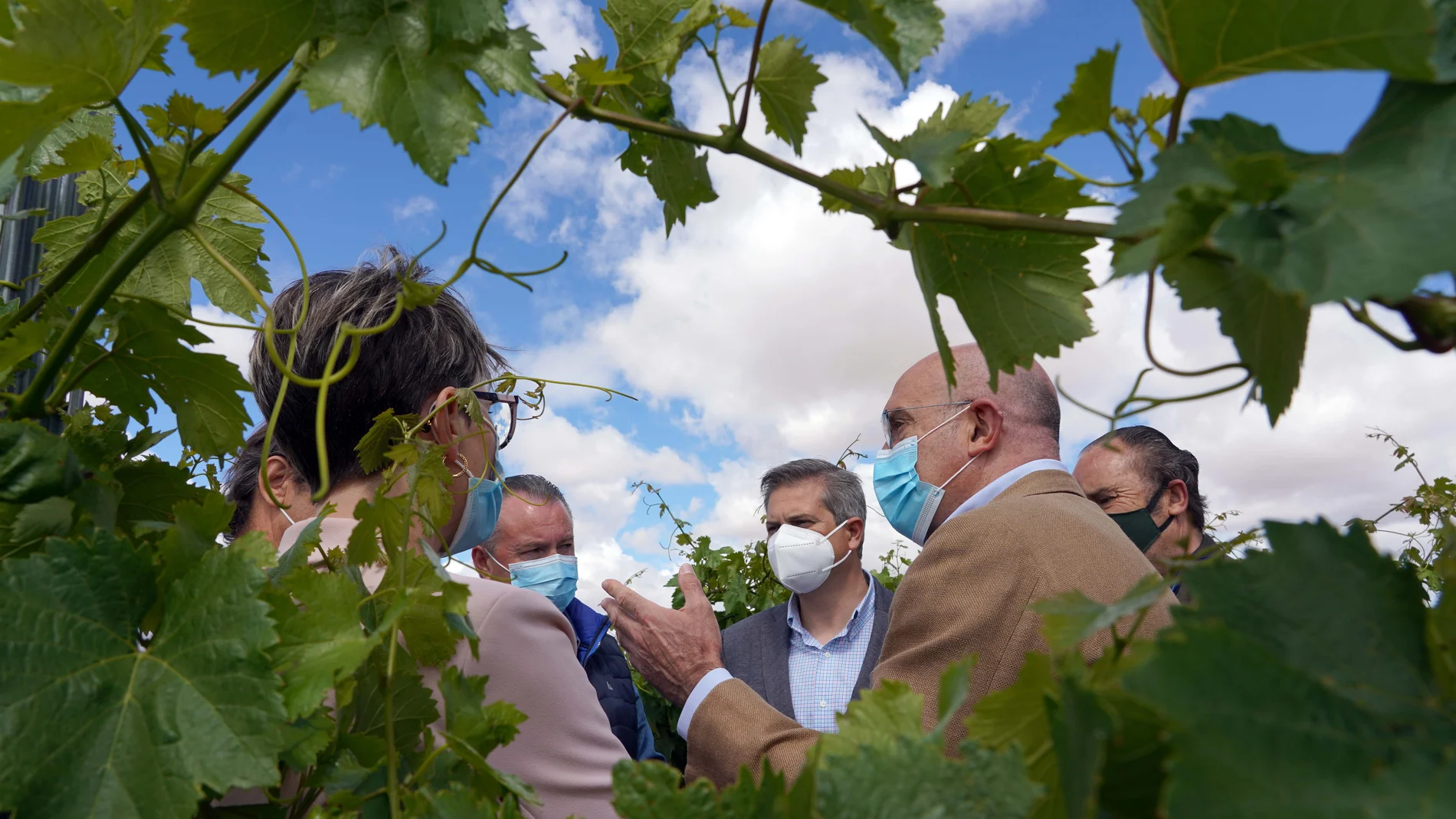 El consejero de Agricultura, Ganadería y Desarrollo Rural, Jesús Julio Carnero, durante una visita a los viñedos de la DO Rueda