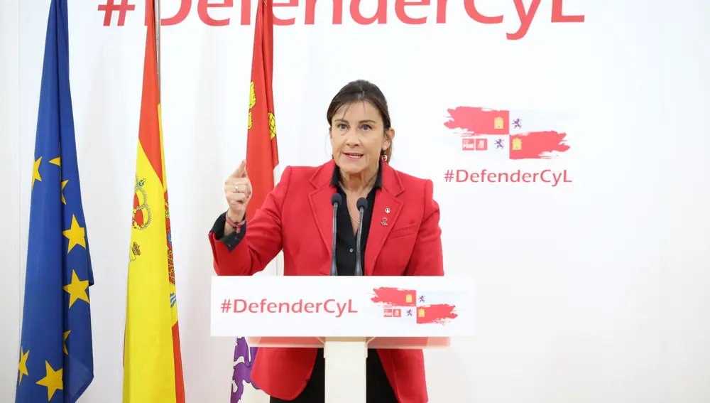 Ana Sánchez comparece en rueda de prensa tras reunirse con la Permanente de Organización del PSOECyLPSOE13/10/2020
