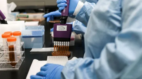 La inmunoterapia ha cobrado un peso muy relevante en los últimos años en lo relativo al tratamiento de los tumores