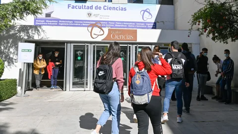 Las nuevas oficinas estarán operativas en más de 60 universidades españolas a lo largo de este año