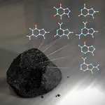 Algunos meteoritos contienen moléculas orgánicas necesarias para la vida.