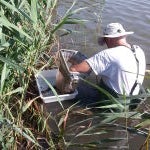 Hidraqua y la UV estudian los grupos biológicos acuáticos indicadores de la calidad del agua en los humedales del Tancat de l’Illa y Tancat de Milia