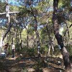 La UPV avanza en el proyecto GUARDIAN para analizar la capacidad de adaptación de la zona al cambio climático