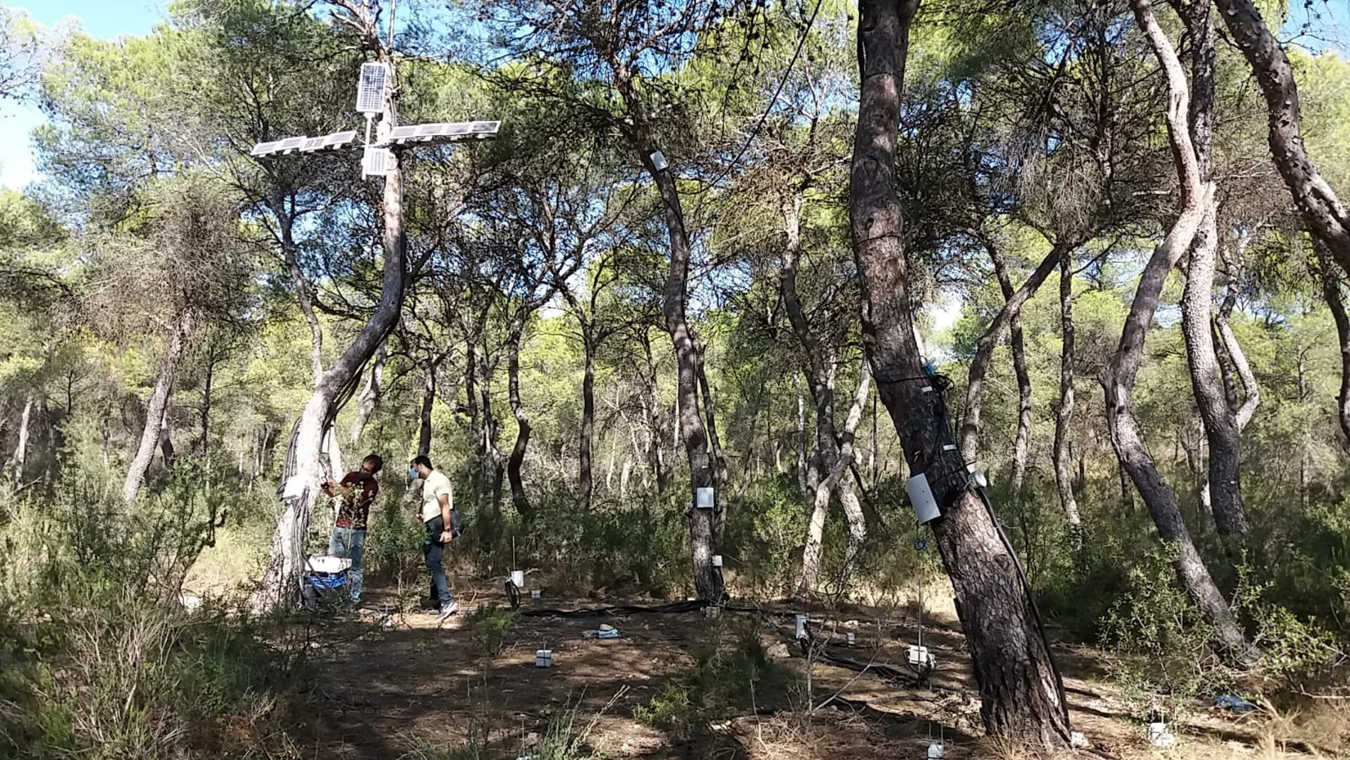 La UPV avanza en el proyecto GUARDIAN para analizar la capacidad de adaptación de la zona al cambio climático