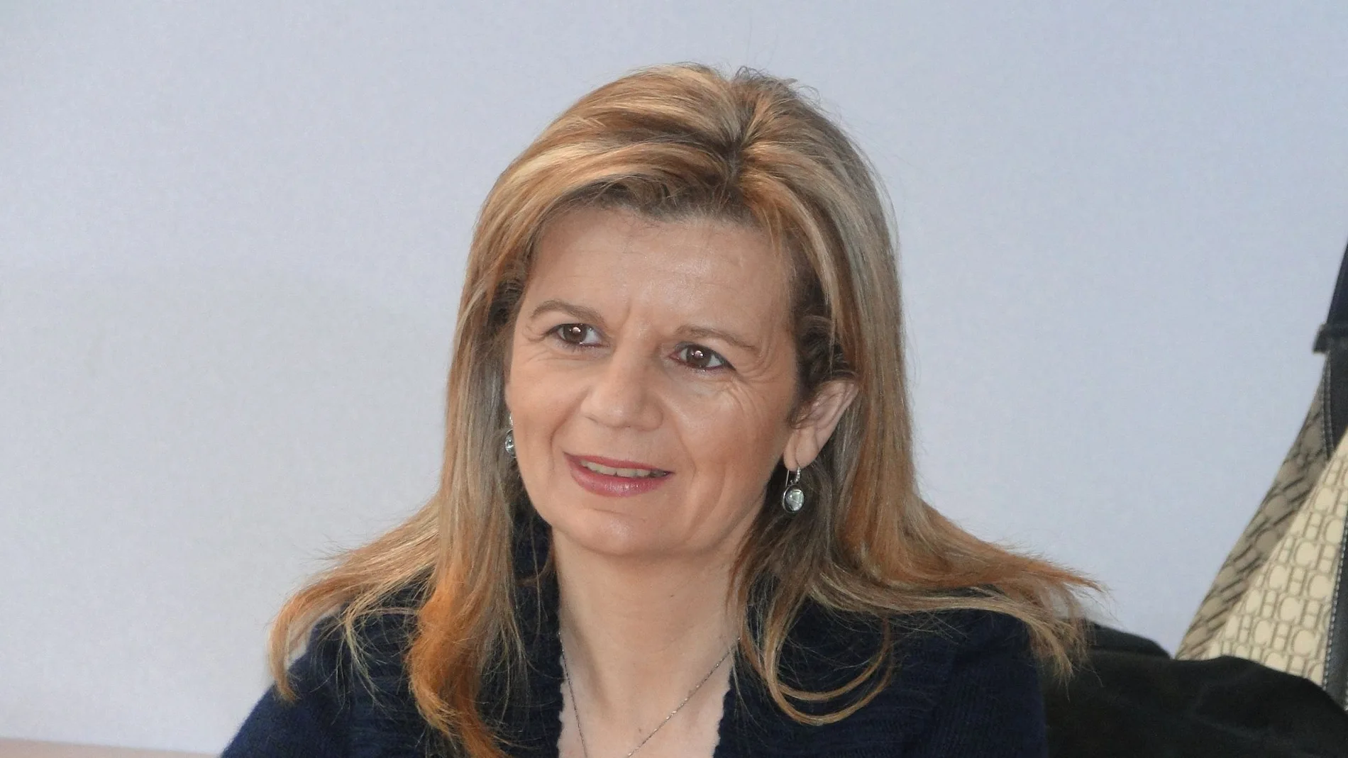 Elvira Velasco, portavoz de Sanidad del Grupo Popular