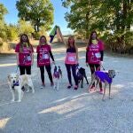 Miles de «doglovers» se han implicado este año en la carrera, que el año que viene celebrará su décimo aniversario