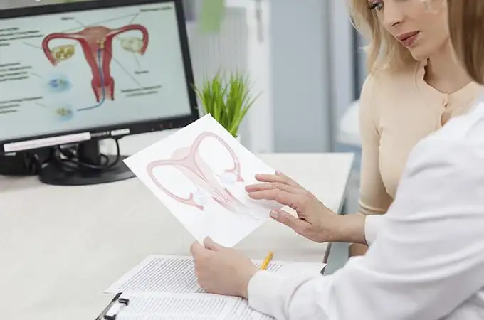 “La sanidad debe dar respuesta a la demanda de las mujeres con menopausia”