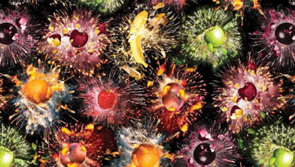 Foodture