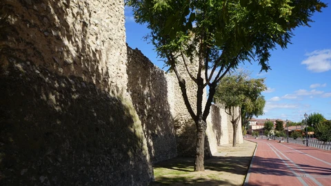 Murallas de Olmedo.