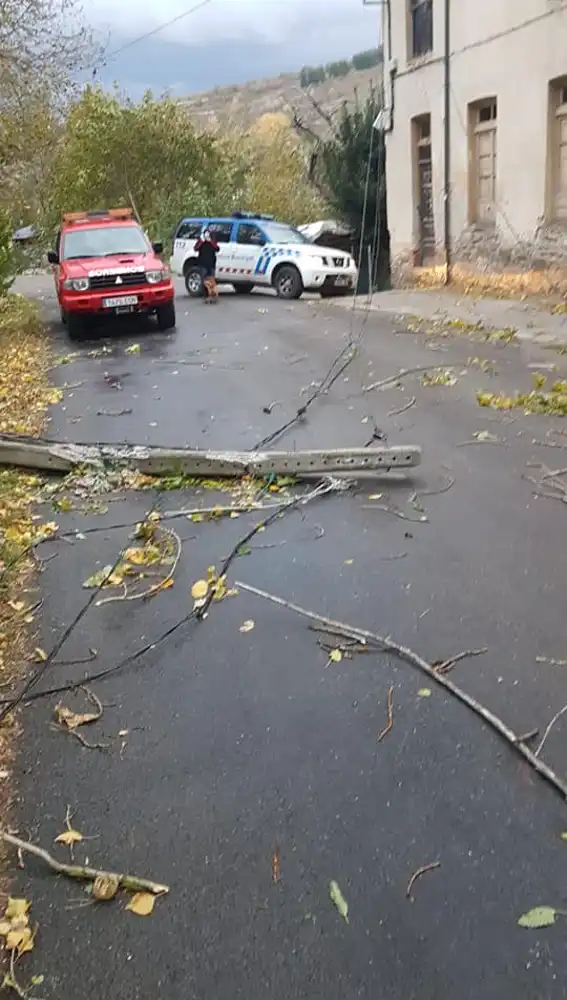 Caída de árboles en este municipio berciano