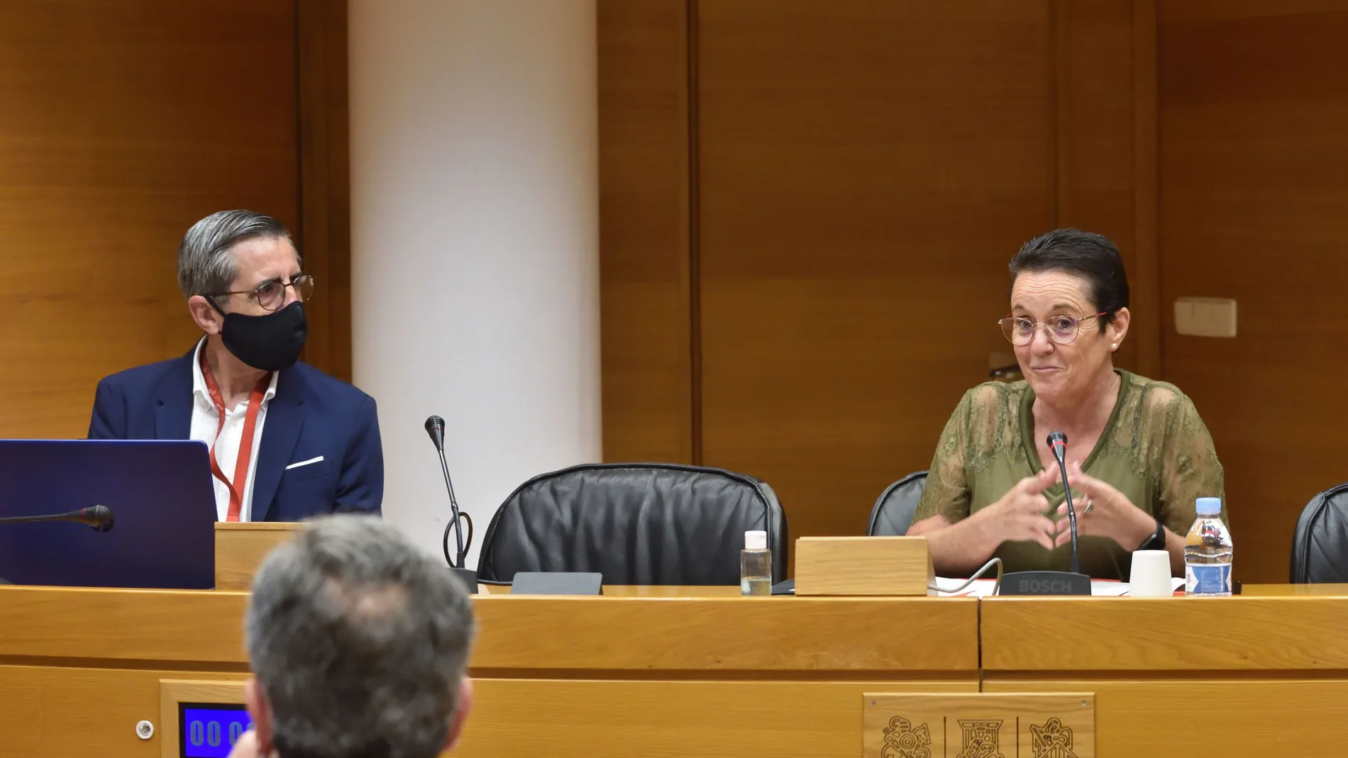 La presidenta de la Comisión, Toñi Serna, en una imagen de archivo.