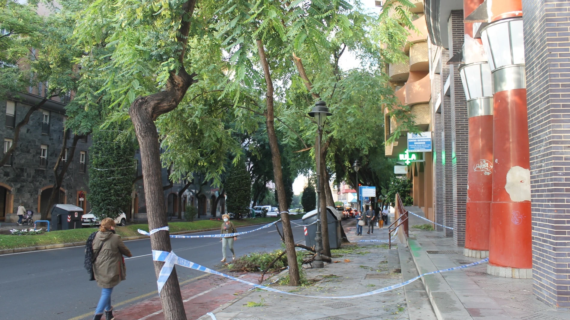 Una rama de árbol caída en la avenida San Sebastián de Huelva