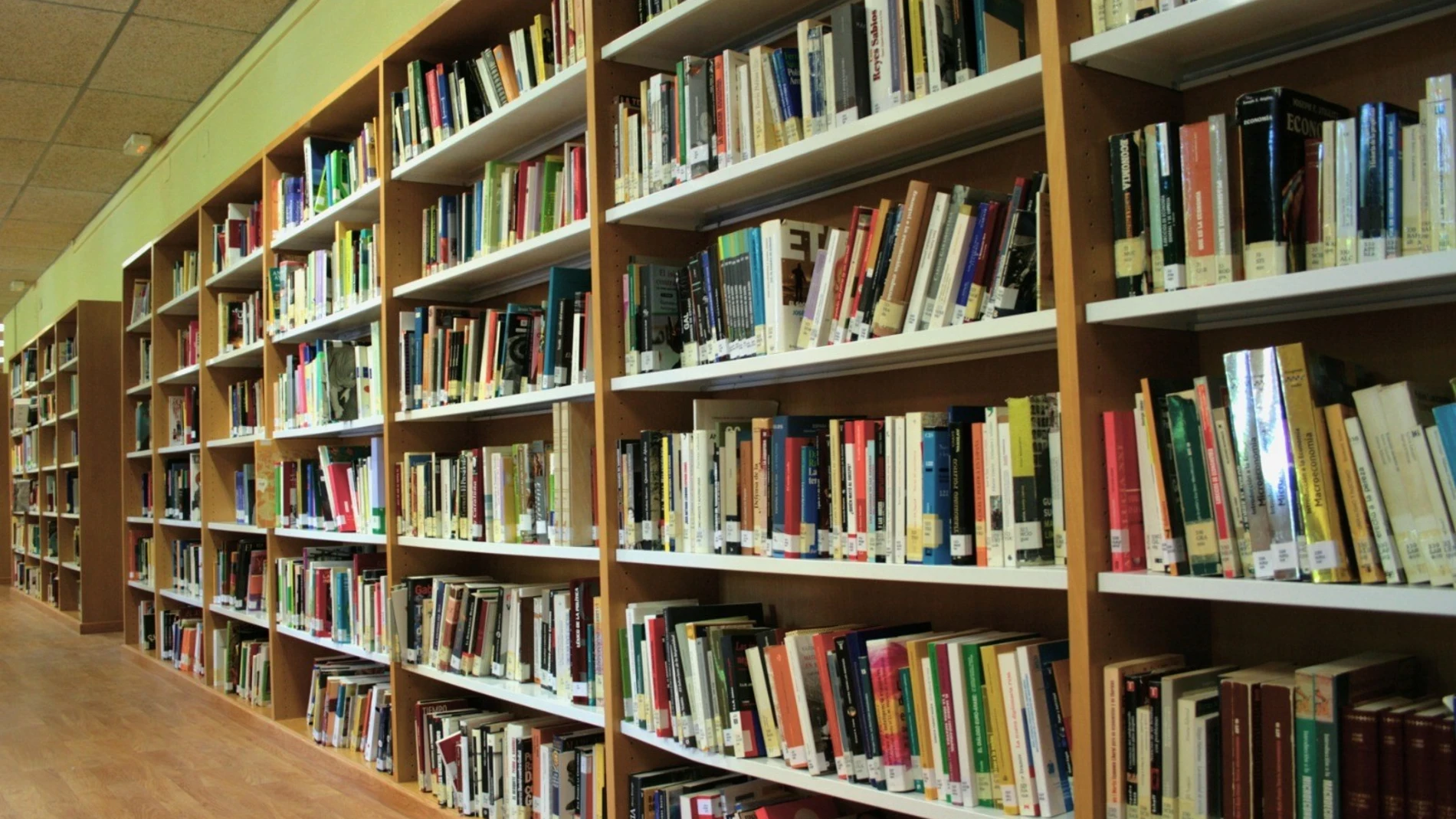Málaga.- Educación.-Cuatro centros educativos, premiados por sus buenas prácticas en bibliotecas y fomento de la lectura