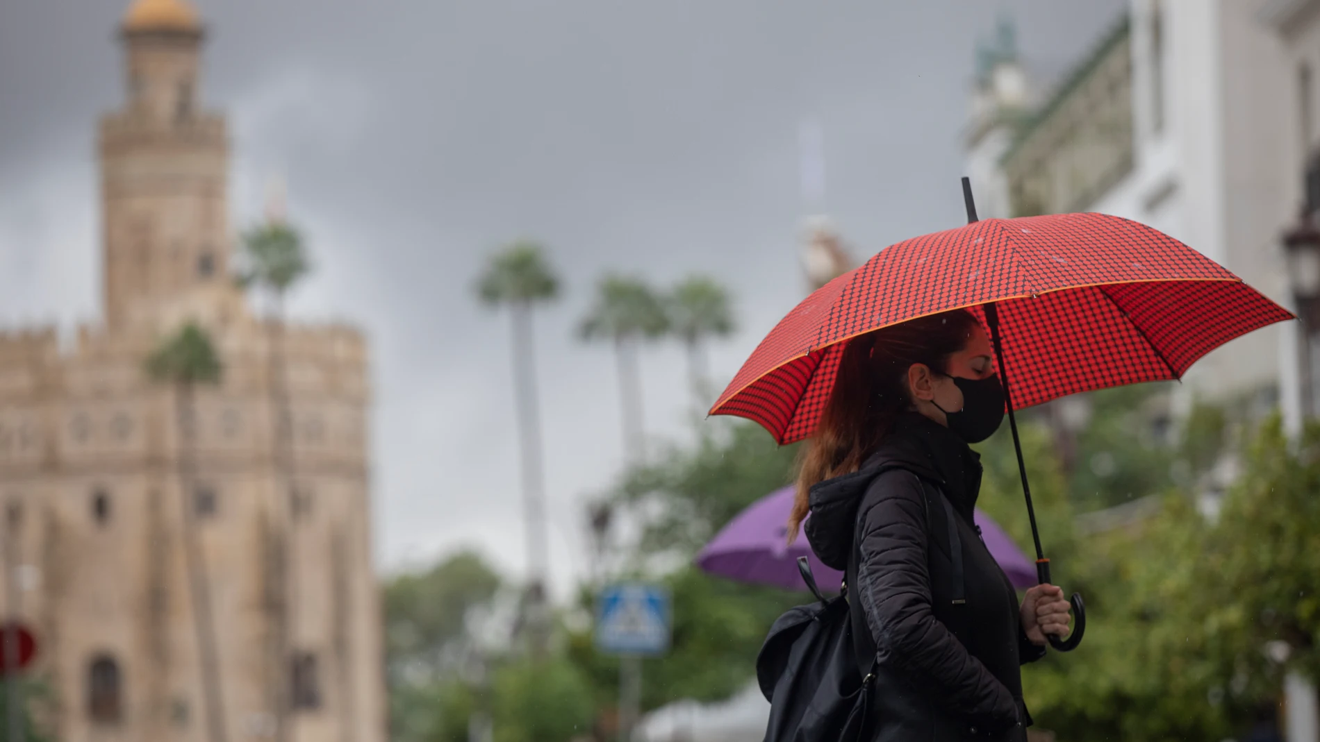 Una mujer bajo su paraguas durante una jornada de lluvia en Sevilla (Andalucía, España), María José López / Europa Press