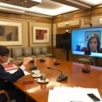 El ministro de Sanidad, Salvador Illa, ha mantenido un encuentro bilateral virtual con la comisaria europea de Salud y Seguridad Alimentaria, Stella KyriakidesMINISTERIO DE SANIDAD22/10/2020
