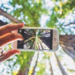 Usar una red alimentada por energía 100% renovable indica que al utilizar Internet no estamos contaminando