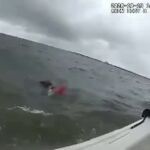 Una familia es rescatada del mar al volcar su barca por fuertes vientosen la bahía de Tampa, Florida